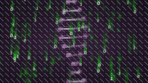 Purple glitch waveform appearing over teal dashes causing green binary Stock Footage 311417121