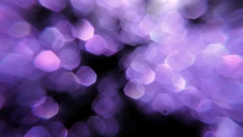 Purple Glittering defocus background Stock Footage 75397078