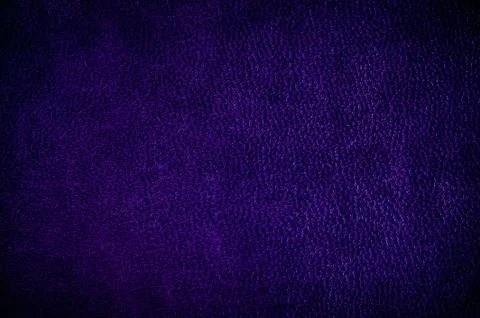 Purple glossy leather texture Stock Photos