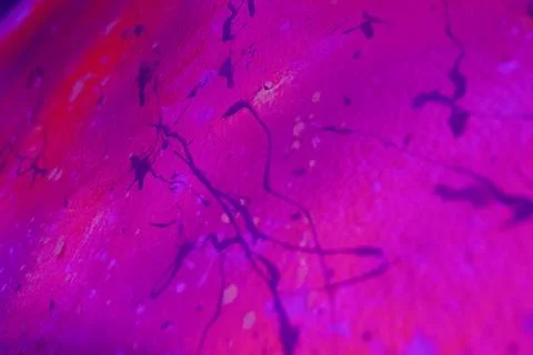 Purple Glow Foto stock