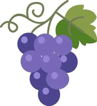 Purple Grape Branch Fruit Graphic Illustration Иллюстрация