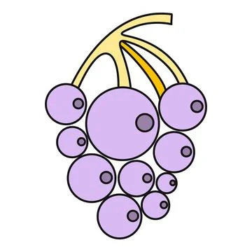 Purple grape bunch vector illustration for healthy eating Stock Illustration
