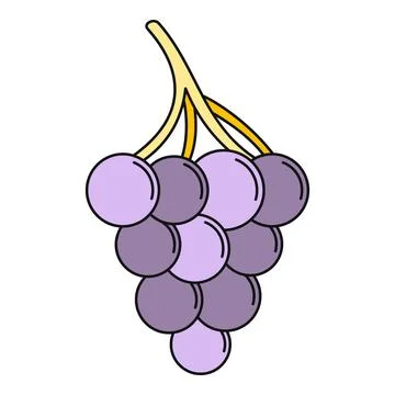 Purple grape cluster fruit organic sweet drawing Stock Illustration