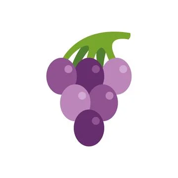 Purple grape cluster with green stem illustration Stock Illustration