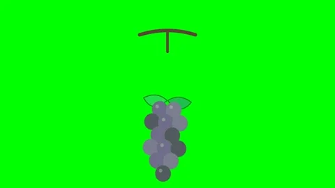 Purple Grape Cluster Plucking Animation on Green Screen Background Stock Footage 346611963