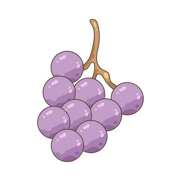 Purple grapes Stock Illustration