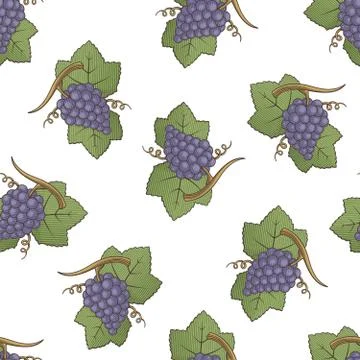 Purple Grapes Pattern Stock Illustration