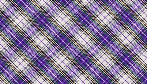 Purple Green Plaid Pattern for Design Foto stock