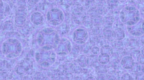 Purple Haze Video stock 45871672