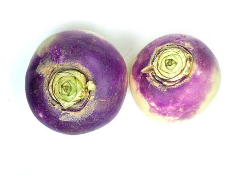 Purple headed turnips Stock Photos