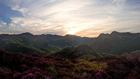 Purple heather and mountain timelapse Stock Footage 346921267