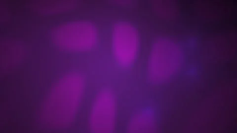 Purple Hues Pixelated Background Texture. Stock Footage 335374994