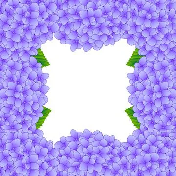 Purple Hydrangea Flower Border2 Stock Illustration