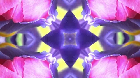 Purple iris background star four corners Vidéo 18350802