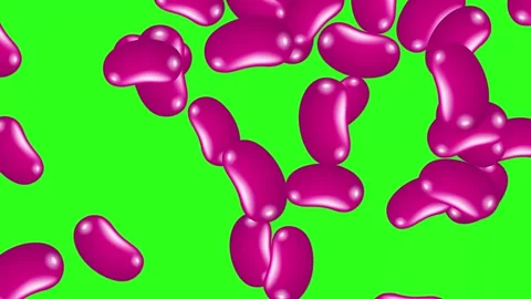 Purple Jelly Bean Candy Falling Against a Green Screen Background Vídeo Stock 344831614