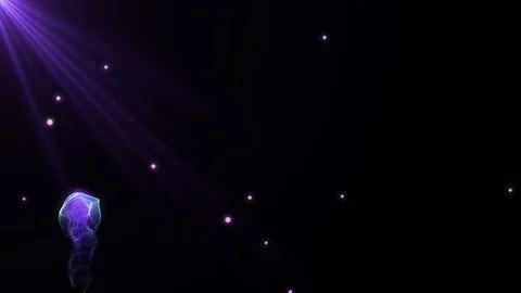 Purple Jellyfish With Form Effect Stock Footage 109698409