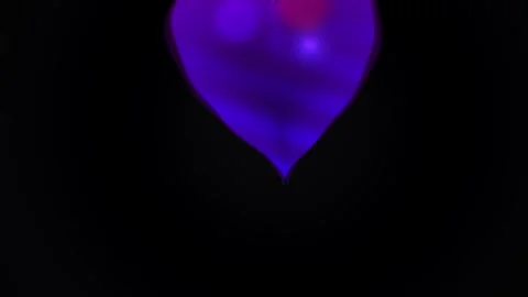 Purple Leaf on Black Background. Stock Footage 335115065