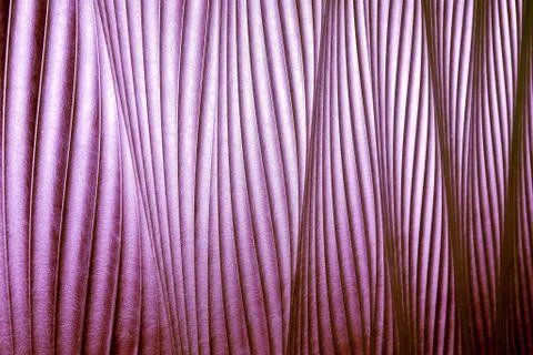 Purple leather texture. able to use as a background Stock Photos