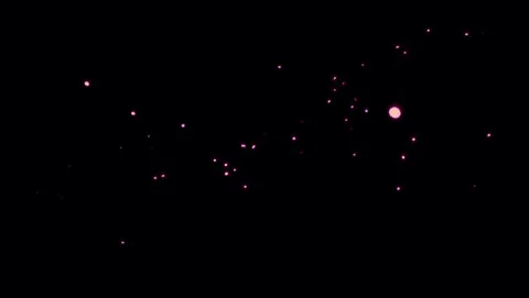 Purple light from Fireflies flying in the black background.  Stock Footage 129895029