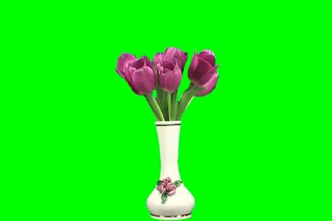 Purple lilies Stock Footage 18608740