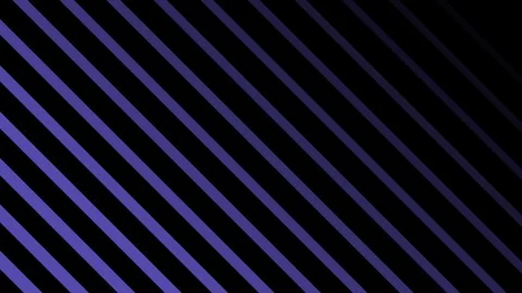 Purple line pattern motion 스톡 동영상 336649309