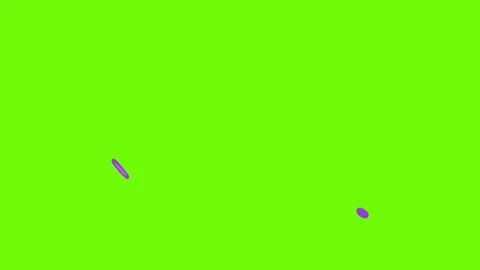 Purple Liquid Swipe Transition Animated on Green Screen 库存影片 344235964