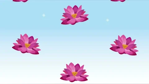 Purple lotus flowers pattern animation Stock Footage 194748856