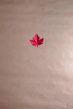 Purple maple leaf cut from paper on neutral background Stock Photos