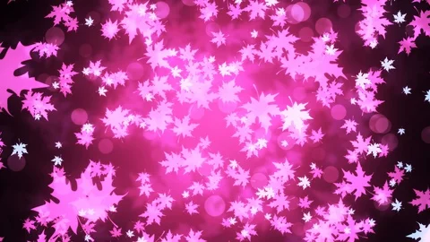 Purple Maple Leaves Stock Footage 92337061