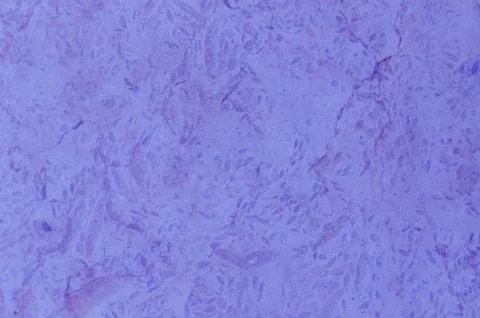 Purple marble texture Stock-Fotos
