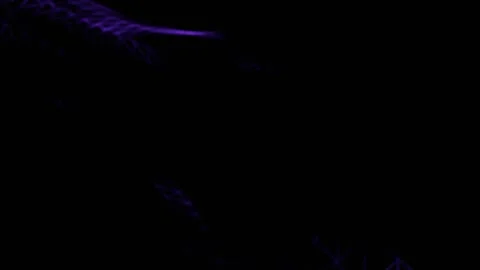 Purple Mesmerizing Neon Mesh Abstract Pattern Background VJ Loop in 4K Stock Footage 334718491