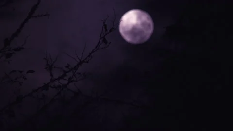 Purple Moon Stock Footage 143752841