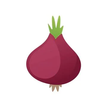 Purple onion on white background. Vector illustration in trendy flat style. EPS Stock Illustration