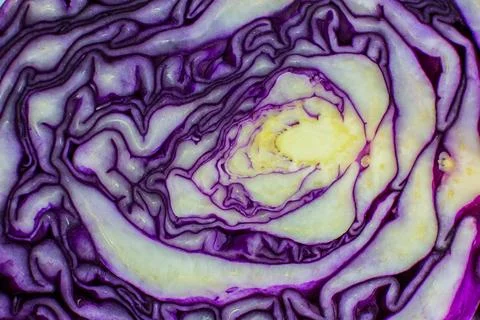 Purple or red cabbage texture inside, Natural eco background. Beautiful wal.. Stock Photos