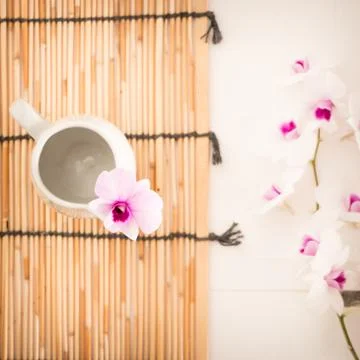 Purple orchid Stock Photos