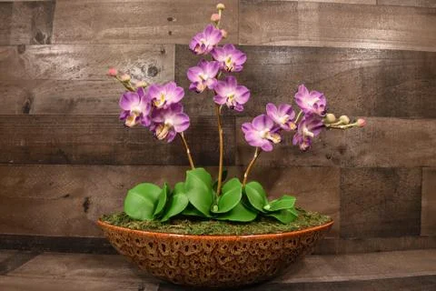 Purple Orchid Sculpture with Wood Background Stock Photos
