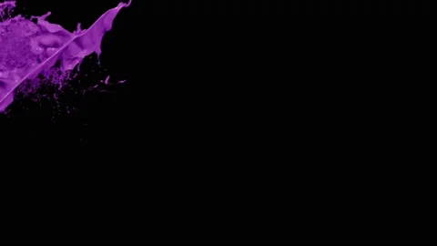 Purple paint splash thrown in slow motion, liquid isolated on black (4K) Stock Footage 137112249