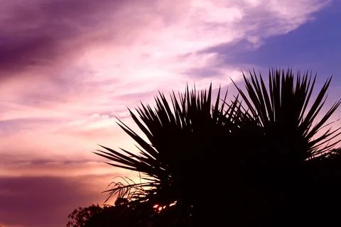 Purple painted clouds on sunset Stock Photos