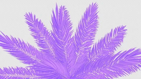 Purple palm branches on transparent background Stock Footage 309856920