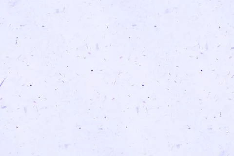 Purple paper texture for background. Stock Photos