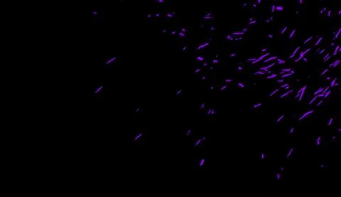 Purple particles effect dust debris isolated on black background for banner,f Stock Illustration