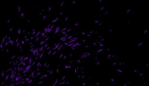Purple particles effect dust debris isolated on black background for banner,f Stock Illustration