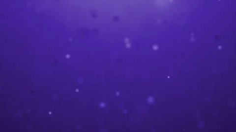 Purple Particles Stock Footage 309894708