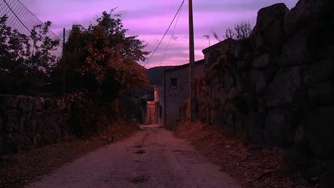 Purple Path Nature Stock Footage 79812545