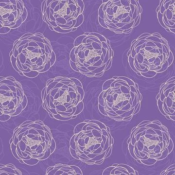 Purple peonies Stock Illustration