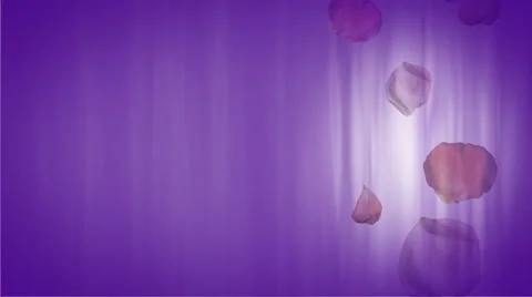 Purple Petals 1020  background Stock Footage 50670520