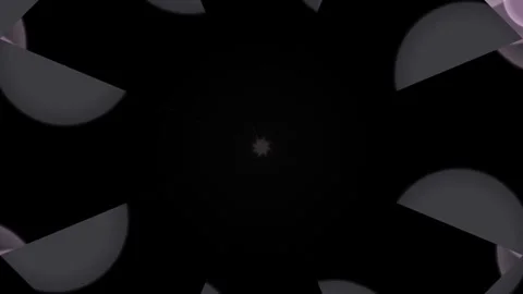 Purple Petals Falling in Dark Background. Stock Footage 331489692