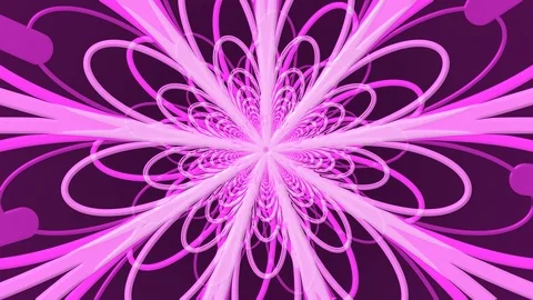 Purple Petals Zoom Stock Footage 100475137
