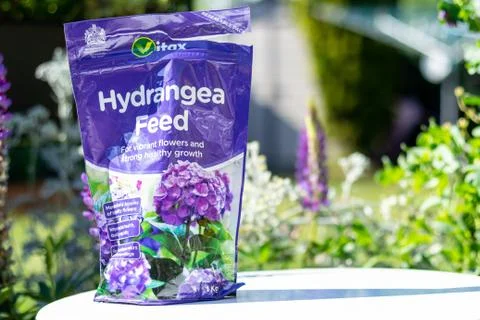 A purple plastic bag of Hydrangea feed on a white table in a garden setting Stock Photos