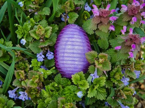 Purple plastic nylon Easter egg among wild orchids Stock Photos